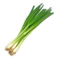 Spring Onion Bunch