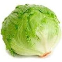 Lettuce Iceberg - Single