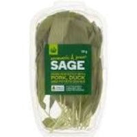 Sage Fresh - bunch