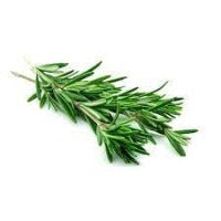 Rosemary Fresh - Bunch