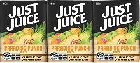 Just Juice Paradise Punch 200ml 6pk