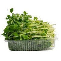 Snow Pea Sprouts per punnet