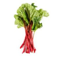 Rhubarb - bunch